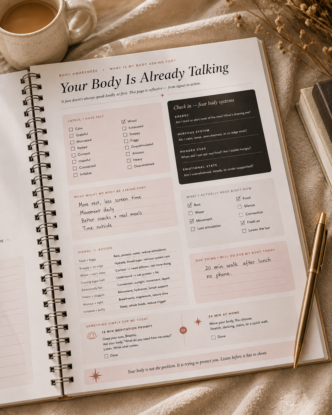 The Identity Restoration Blueprint
