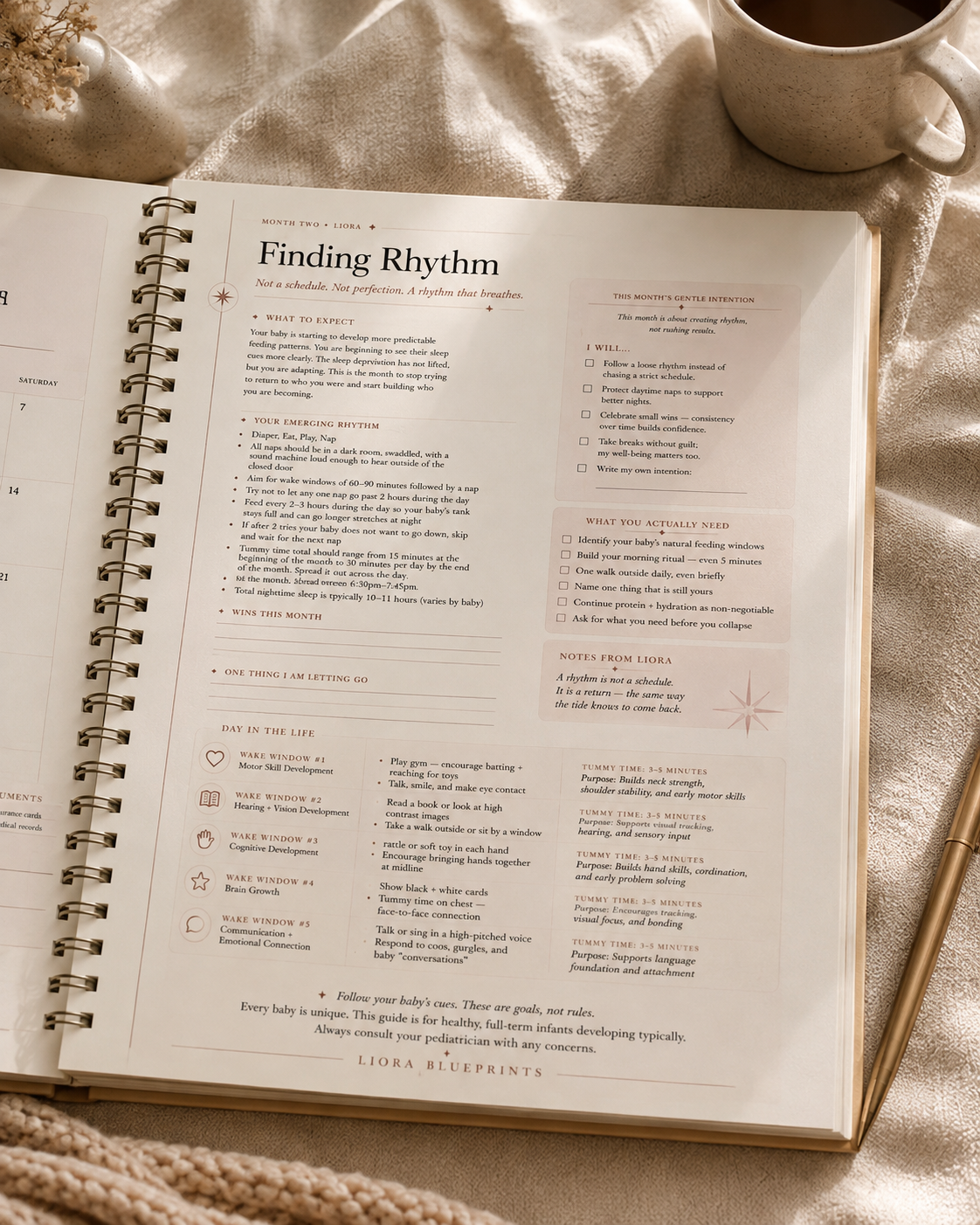LIORA First Six Months Blueprint interior — Finding Rhythm page showing Month Two guidance including emerging rhythm, wake windows, day in the life structure, and tummy time framework